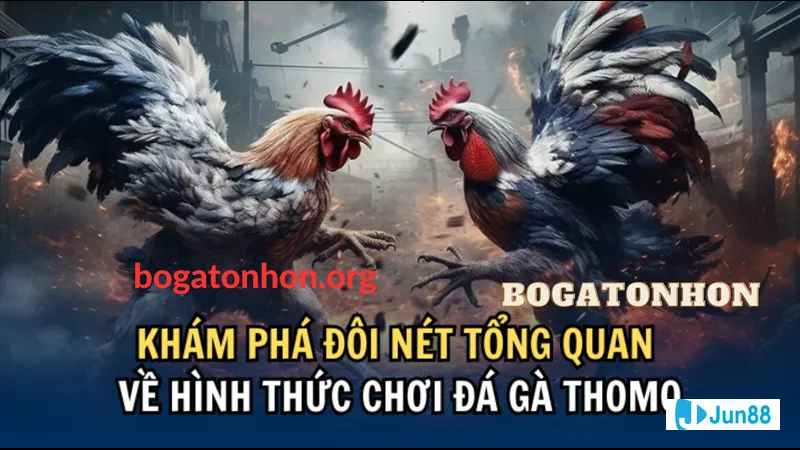 Ý nghĩa của Cấp độ C6 Ý nghĩa của Cấp độ C6