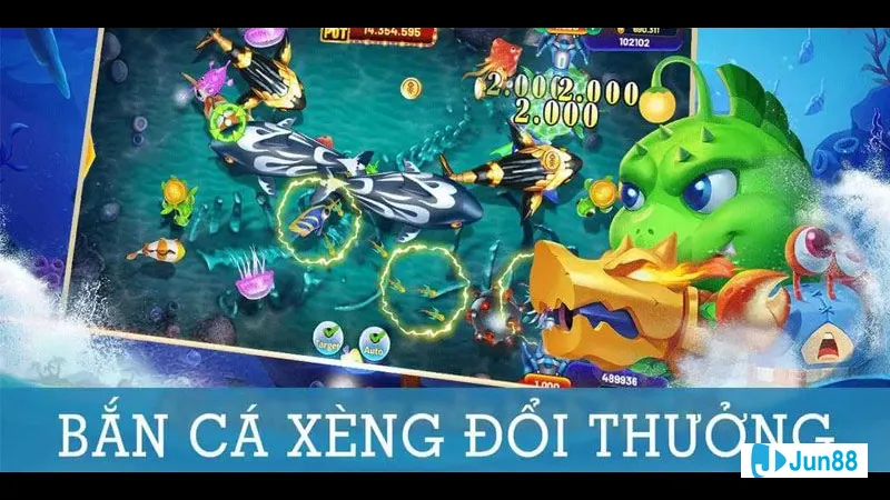 Chọn ngư trường hợp lý Chọn ngư trường hợp lý
