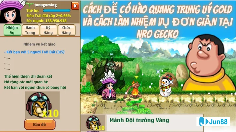 Đèn Noel và cành thông trang trí Đèn Noel và cành thông trang trí